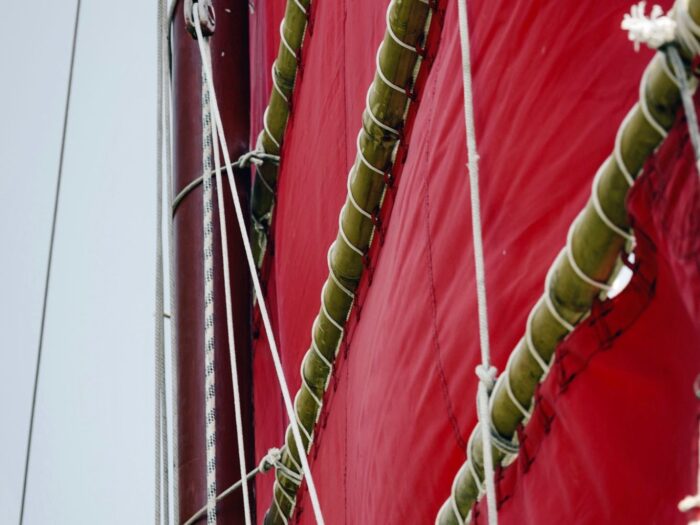 Half Day Charter Cruise - Image 12
