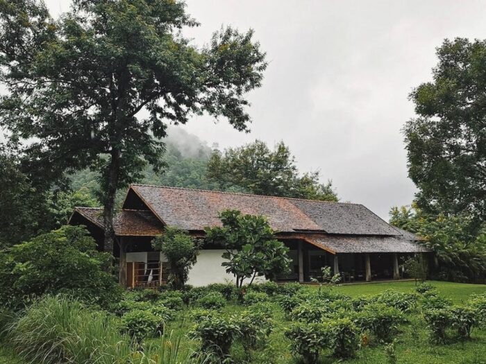 Araksa Tea Garden Tour - Image 14