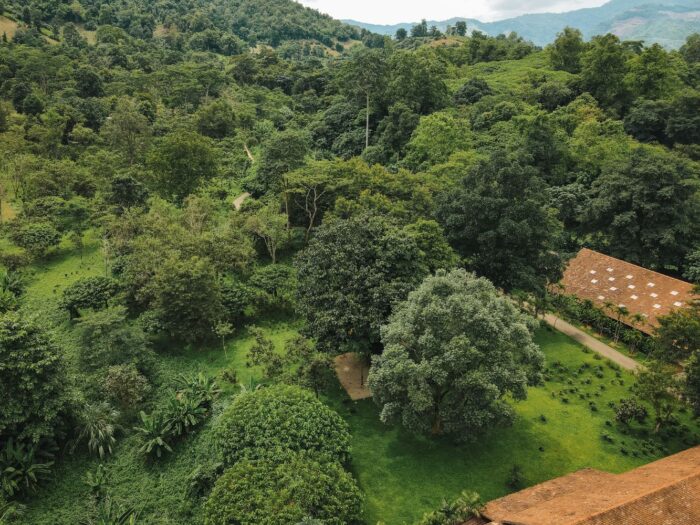 Araksa Tea Garden Tour - Image 9