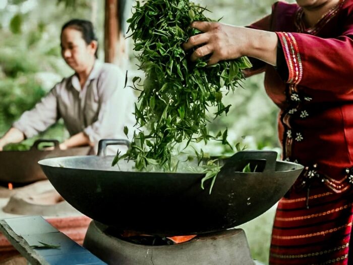 Araksa Tea Garden Tour - Image 7