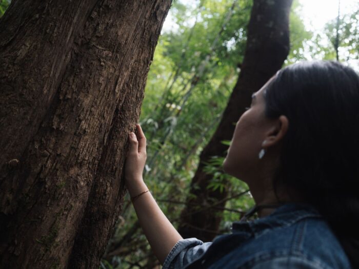 3 Days 2 Nights Forest Bathing - Image 7