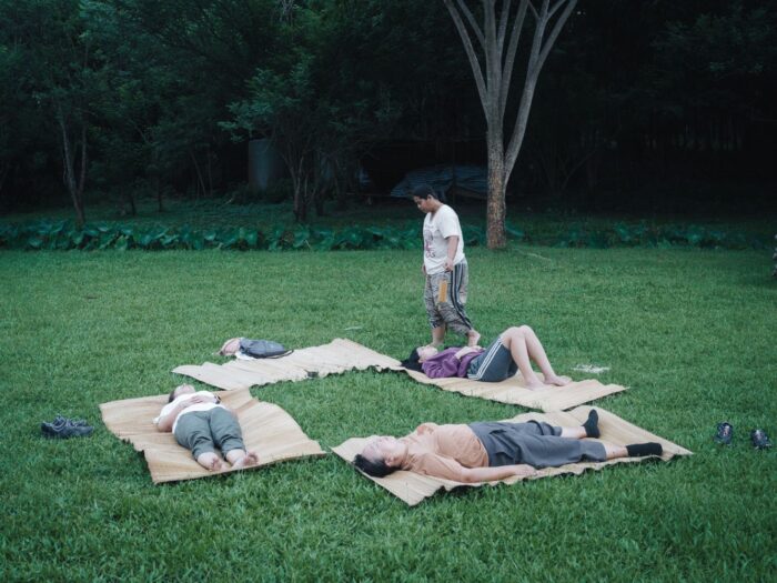 3 Days 2 Nights Forest Bathing - Image 3