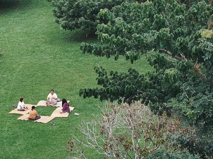 3 Days 2 Nights Forest Bathing - Image 5