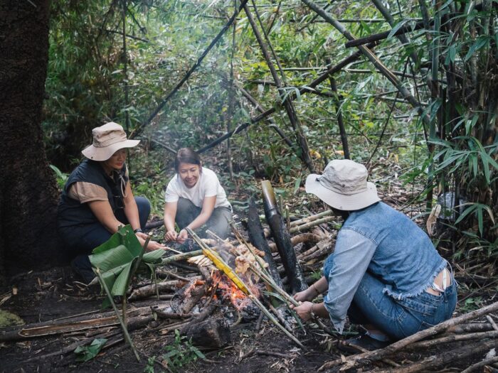 3 Days 2 Nights Forest Bathing - Image 9