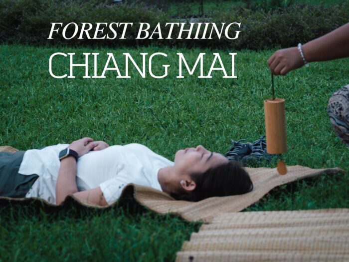 3 Days 2 Nights Forest Bathing